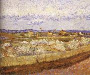 Vincent Van Gogh Blooming peach painting